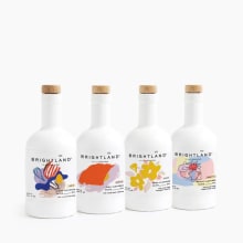 Product image of The Artist Capsule